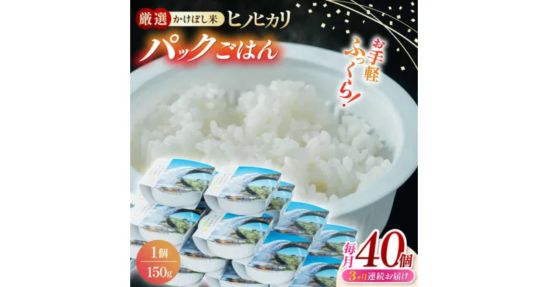 【ふるさと納税】【全3回定期便】 【数量限定】いちょうの畑 パックご飯 ヒノヒカリ 150g×40パック 【農事組合法人いちょう】[YDN006]