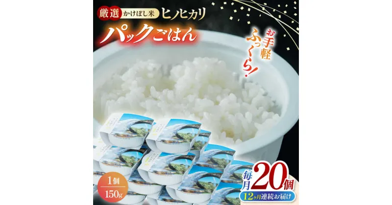 【ふるさと納税】【全12回定期便】 いちょうの畑 パックご飯 ヒノヒカリ 150g×20パック 【農事組合法人いちょう】[YDN004]