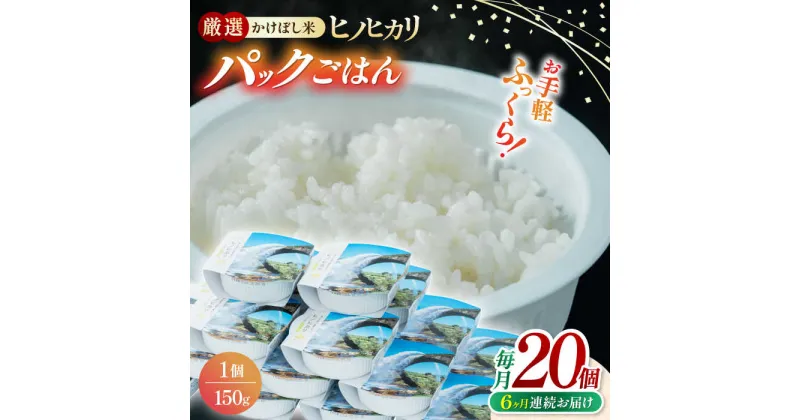 【ふるさと納税】【全6回定期便】 いちょうの畑 パックご飯 ヒノヒカリ 150g×20パック 【農事組合法人いちょう】[YDN003]