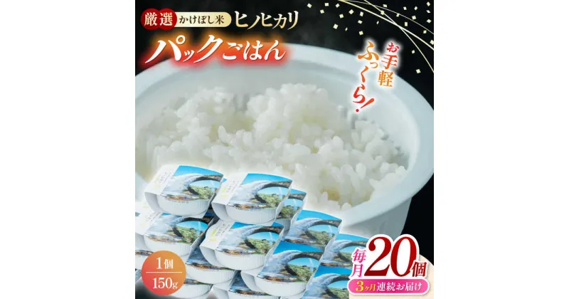 【ふるさと納税】【全3回定期便】 いちょうの畑 パックご飯 ヒノヒカリ 150g×20パック 【農事組合法人いちょう】[YDN002]