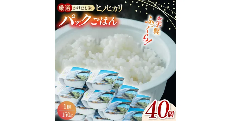 【ふるさと納税】【数量限定】いちょうの畑 パックご飯 ヒノヒカリ 150g×40パック 【農事組合法人いちょう】[YDN005]