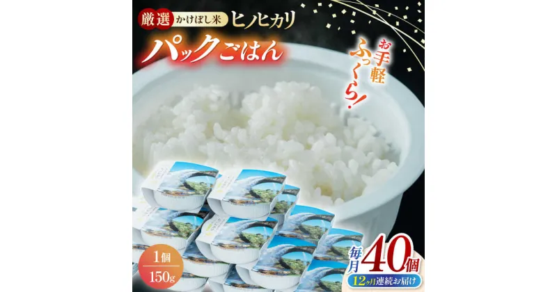 【ふるさと納税】【全12回定期便】 【数量限定】いちょうの畑 パックご飯 ヒノヒカリ 150g×40パック 【農事組合法人いちょう】[YDN008]