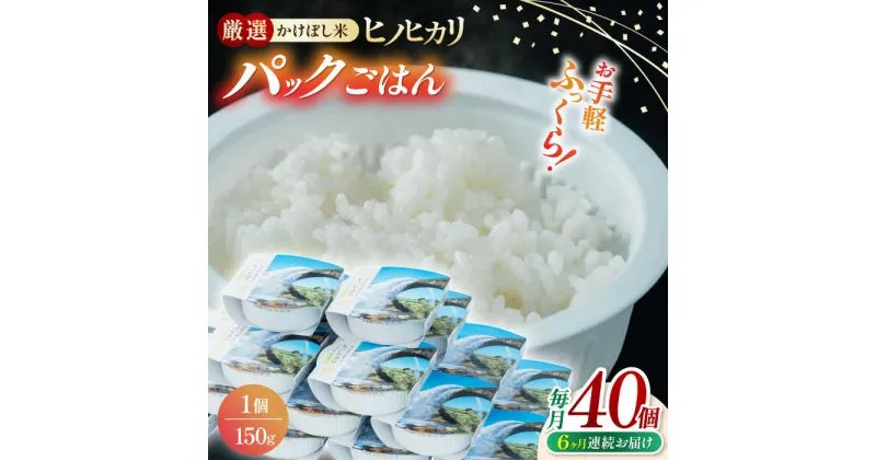 【ふるさと納税】【全6回定期便】 【数量限定】いちょうの畑 パックご飯 ヒノヒカリ 150g×40パック 【農事組合法人いちょう】[YDN007]