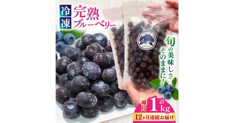 【ふるさと納税】【全12回定期便】旬の美味しさそのまま！冷凍 完熟ブルーベリー 計1kg (約500g×2パック) 【マルク ザ・ガーデン】[YDI004]