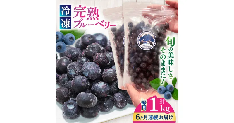 【ふるさと納税】【全6回定期便】旬の美味しさそのまま！冷凍 完熟ブルーベリー 計1kg (約500g×2パック) 【マルク ザ・ガーデン】[YDI003]