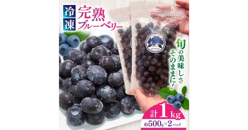 【ふるさと納税】旬の美味しさそのまま！冷凍 完熟ブルーベリー 計1kg (約500g×2パック) 【マルク ザ・ガーデン】[YDI001]