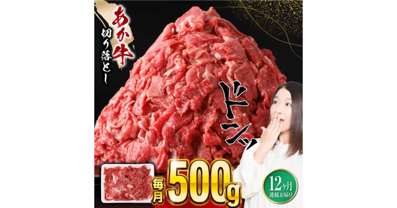 【ふるさと納税】【全12回定期便】あか牛 切り落とし 500g 【五右衛門フーズ】[YBZ058]