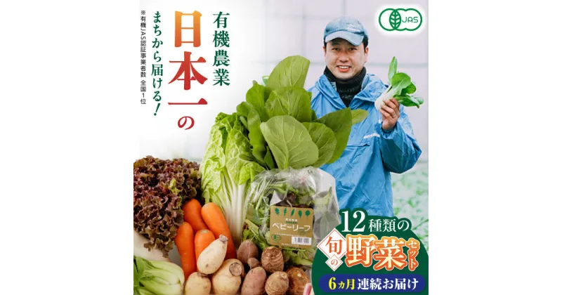 【ふるさと納税】【全6回定期便】四季を味わう野菜セット【株式会社 肥後やまと】[YAF021]