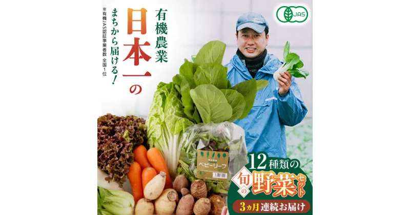 【ふるさと納税】【全3回定期便】四季を味わう野菜セット【株式会社 肥後やまと】[YAF020]