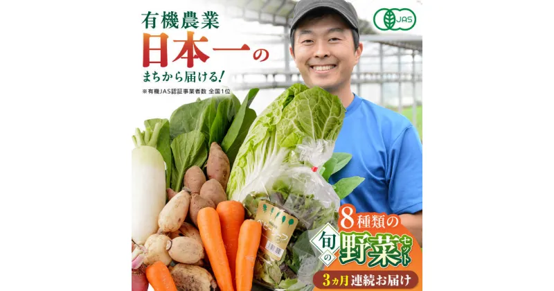 【ふるさと納税】【全3回定期便】オーガニック 野菜 セット 8種【株式会社 肥後やまと】[YAF028]