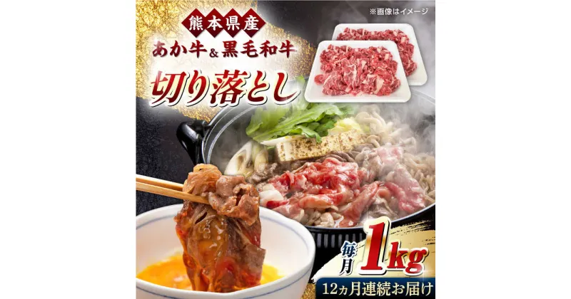 【ふるさと納税】【全12回定期便】くまもと黒毛和牛 あか牛 ミックス 切り落とし 1kg【熊本県畜産農業協同組合】[YAD020]