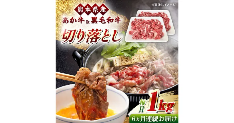 【ふるさと納税】【全6回定期便】くまもと黒毛和牛 あか牛 ミックス 切り落とし 1kg【熊本県畜産農業協同組合】[YAD018]