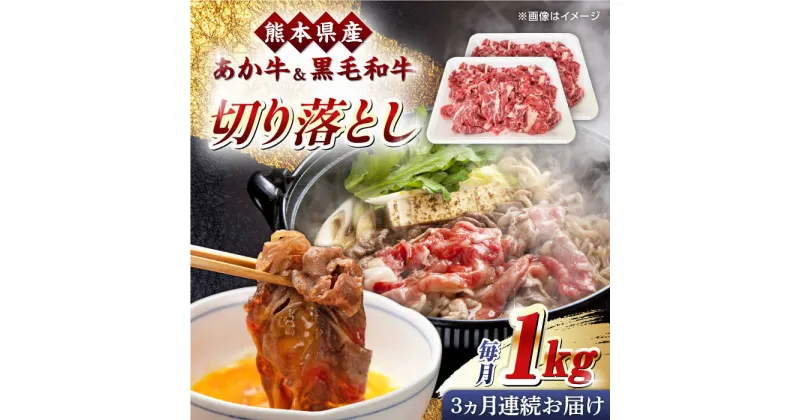 【ふるさと納税】【全3回定期便】くまもと黒毛和牛 あか牛 ミックス 切り落とし 1kg【熊本県畜産農業協同組合】[YAD016]