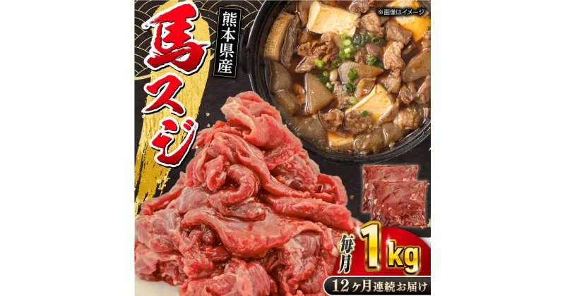 【ふるさと納税】【全12回定期便】馬スジ 1kg ( 500g × 2 ) 熊本県 馬肉 スジ 馬すじ 煮込み 煮物【五右衛門フーズ】[YBZ042]