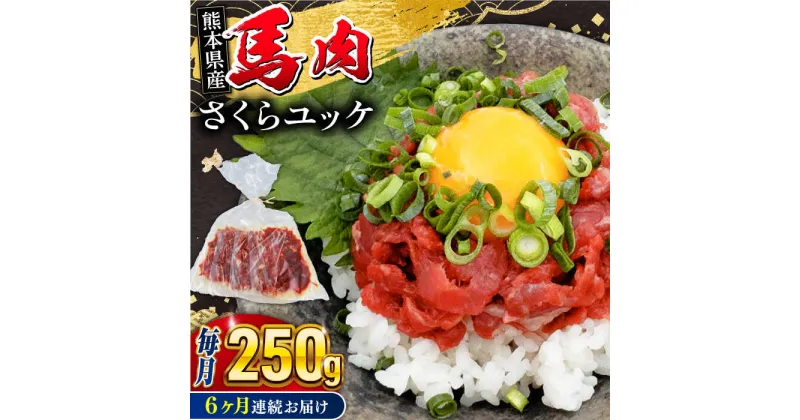 【ふるさと納税】【全6回定期便】馬肉さくらユッケ 250g ( 50g × 5 ) 小分け 熊本肥育 桜ユッケ 馬刺し 馬肉 熊本県【五右衛門フーズ】[YBZ033]