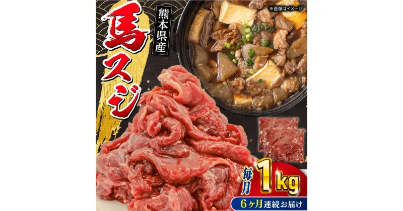 【ふるさと納税】【全6回定期便】馬スジ 1kg ( 500g × 2 ) 熊本県 馬肉 スジ 馬すじ 煮込み 煮物【五右衛門フーズ】[YBZ041]