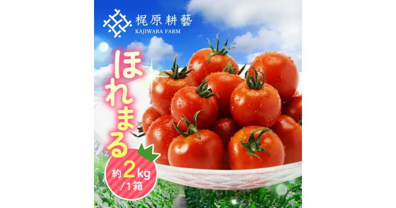 【ふるさと納税】 甘みと酸味の絶妙なバランス！ミニトマト「ほれまる」 約2kg トマト プチトマト ミディトマト【梶原耕藝】[YDQ001]