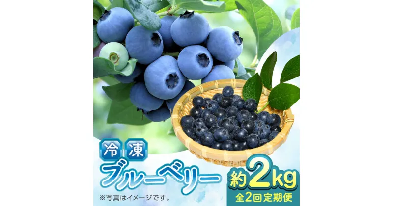 【ふるさと納税】【全2回定期便】【加工用】冷凍ブルーベリー 2kg【「のん気・元気」百姓家】[YAL028]