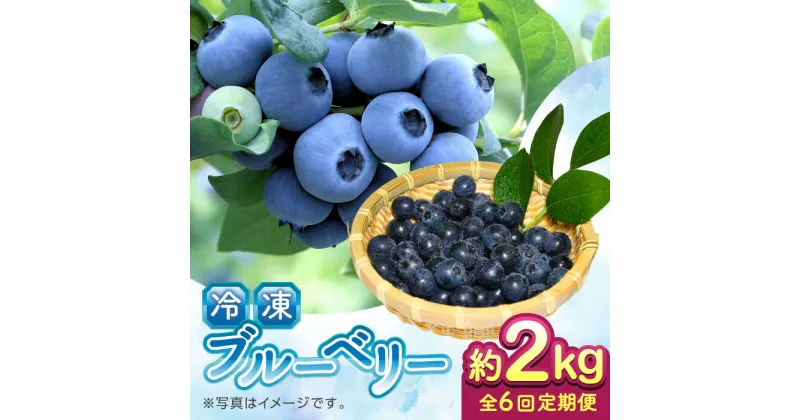 【ふるさと納税】【全6回定期便】【加工用】冷凍ブルーベリー 2kg【「のん気・元気」百姓家】[YAL030]