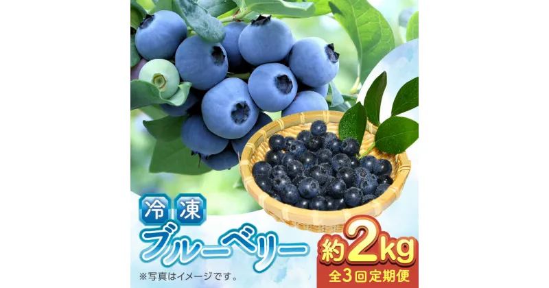 【ふるさと納税】【全3回定期便】【加工用】冷凍ブルーベリー 2kg【「のん気・元気」百姓家】[YAL029]