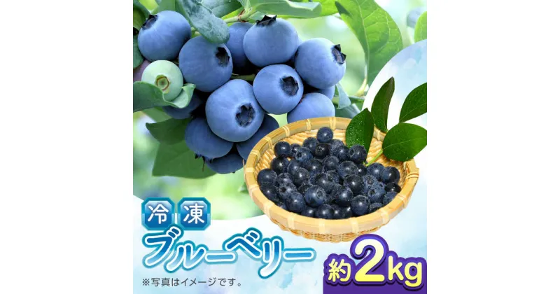 【ふるさと納税】【加工用】冷凍ブルーベリー 2kg【「のん気・元気」百姓家】[YAL027]