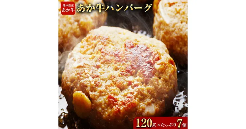 【ふるさと納税】あか牛ハンバーグ 熊本県産あか牛を使用した贅沢ハンバーグたっぷり7個入り あか牛 赤牛 あかうし《30日以内に出荷予定(土日祝除く)》 熊本県 葦北郡 津奈木町