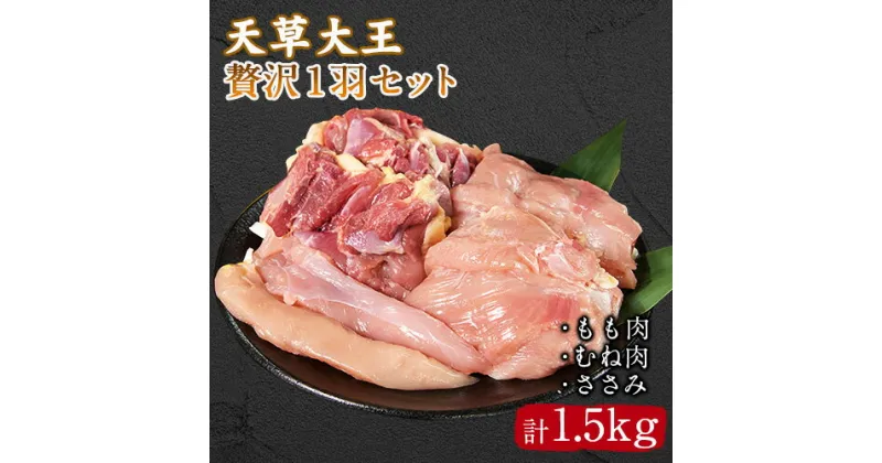 【ふるさと納税】天草大王 贅沢1羽セット 約1.5kg【幻の地鶏】もも・むね・ささみ 各2枚《60日以内に出荷予定(土日祝除く)》 熊本県 葦北郡 津奈木町