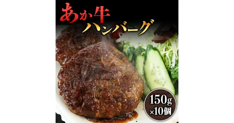 【ふるさと納税】熊本県産のあか牛を使ったハンバーグ 150g×10個《90日以内に出荷予定(土日祝除く)》熊本県 葦北郡 津奈木町 津奈木食品 あか牛 ハンバーグ