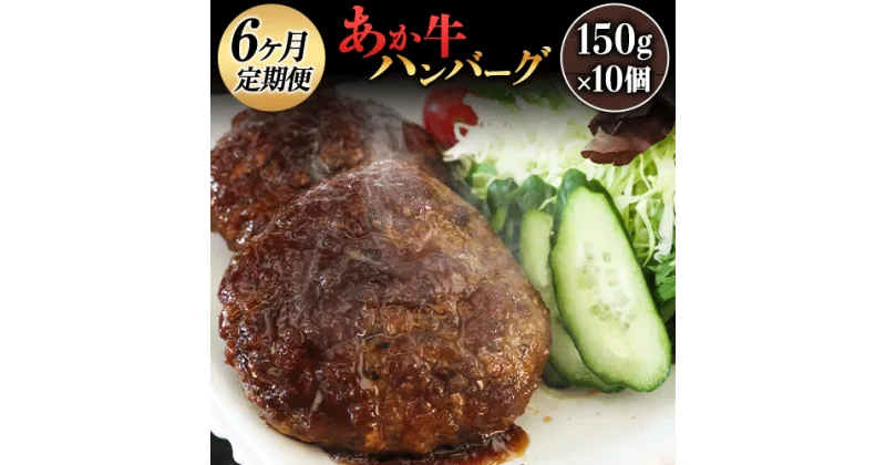 【ふるさと納税】【定期便】熊本県産のあか牛を使ったハンバーグ150g×10個 定期便6回《お申込み月の翌月から出荷開始）》熊本県 葦北郡 津奈木町 津奈木食品 あか牛 ハンバーグ 定期便 6ヶ月