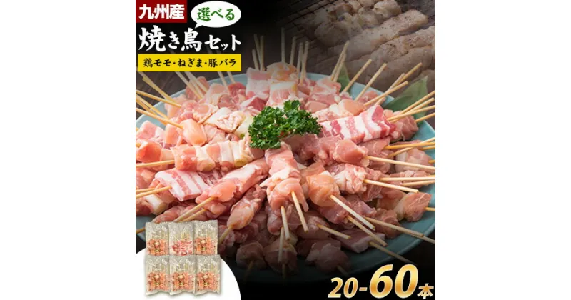 【ふるさと納税】九州産 焼き鳥 2種セット串 3種セット串 60本 24本 20本 冷凍 小分け 焼き鳥 焼鳥やきとり 《30日以内に出荷予定（土日祝を除く）》 熊本県 葦北郡 津奈木町 ナンキューフーズ株式会社 肉 鶏肉 豚肉 鶏 豚 鶏モモ 豚バラ ネギマ