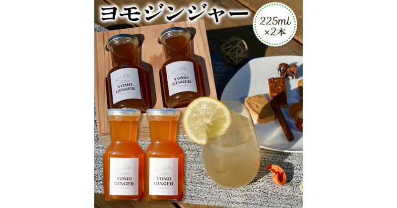 【ふるさと納税】ヨモジンジャーシロップ 225ml×2本 A-TeaM《60日以内に出荷予定(土日祝除く)》熊本県 葦北郡 津奈木町 シロップ　よもぎ 蓬 万能薬草