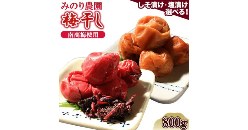 【ふるさと納税】 梅干し うめぼし 800g 選べる しそ漬け 塩 食べ比べ 《30日以内に出荷予定(土日祝除く)》熊本県 津奈木町 梅 南高梅 梅干し セット 天日干し しそ みのり農園 塩 減塩 天日干し ダイエット 和食 ごはん ご飯のお供 米 に合う こだわり 長持ち 手作り