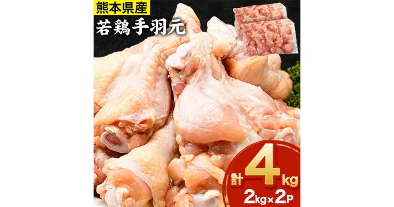 【ふるさと納税】熊本県産 若鶏手羽元 約4kg 2kg×2P 《30日以内に出荷予定(土日祝除く)》 熊本県 葦北郡 津奈木町