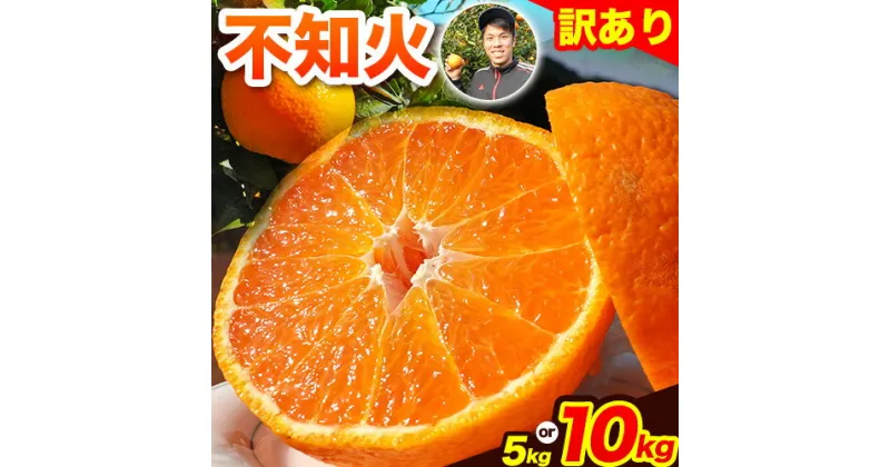 【ふるさと納税】不知火 熊本のブランド果実 不知火 訳あり 約5kg (20玉前後) または 約10kg (40玉前後) 未来来農園 《4月上旬-4月下旬頃出荷》熊本県 葦北郡 津奈木町 みかん 5kg 10kg 訳あり デコポン でこぽん フルーツ 柑橘 しらぬい