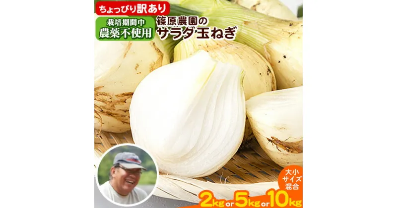 【ふるさと納税】 訳あり 栽培期間中 農薬不使用 サラダ玉ねぎ (S-2Lサイズ) 2kg 5kg 10kg《2月中旬-3月下旬頃出荷》熊本県 葦北郡 津奈木町 篠原農園 野菜 玉ねぎ たまねぎ 自然栽培 大小サイズ混合 ちょっと訳あり