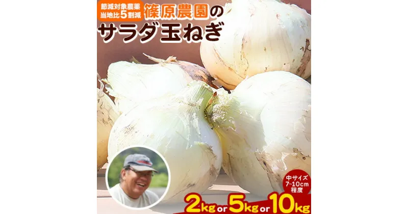 【ふるさと納税】 玉ねぎ 節減対象農薬 当地比5割減 サラダ玉ねぎ (中サイズ) 2kg 5kg 10kg《2月中旬-3月下旬頃出荷》熊本県 葦北郡 津奈木町 篠原農園 野菜 たまねぎ 自然栽培 大小サイズ混合