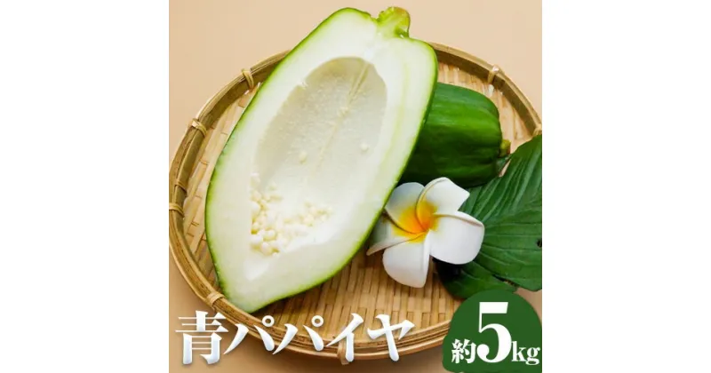 【ふるさと納税】 パパイヤ 青パパイヤ パパイア 野菜 健康野菜 5kg ゆいやわす《9月下旬-12月中旬頃出荷》熊本県 葦北郡 津奈木町 国産 人気 お試し カレー お味噌汁 炒め物 サラダ に 酵素 食物繊維 たっぷり