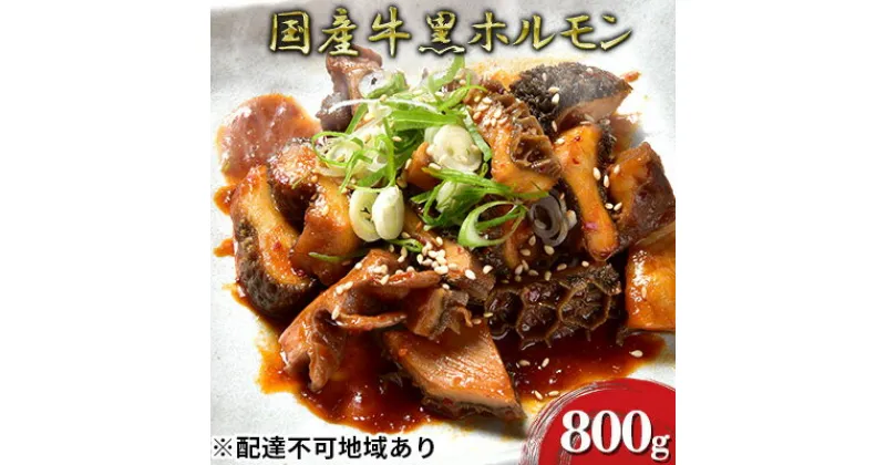 【ふるさと納税】ほるもんじいぃの国産牛黒ホルモン(10袋)　肉の加工品・ホルモン