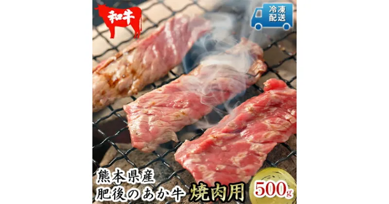 【ふるさと納税】肥後の赤牛 焼肉 用 500g　お肉 牛肉 焼肉 バーベキュー あか牛　お届け：※約3ヶ月ほどお待ちいただく場合がございます。