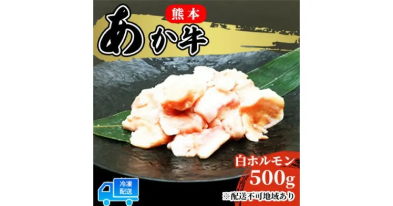 【ふるさと納税】あか牛 赤牛 熊本 和牛 肥後 赤牛 白ホルモン 500g (250g×2パック) 牛肉 肉 お肉 配送不可:離島　 牛ホルモン 国産 日本産 熊本県産 柔らかい 食感 ぷりぷり ホルモン焼き もつ鍋 もつ煮込 鍋料理 冬 つまみ