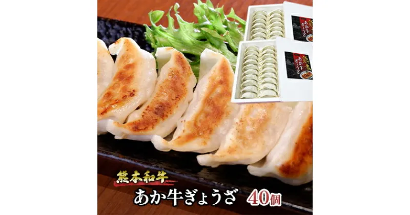 【ふるさと納税】ぎょうざ 熊本 あか牛 餃子 セット 計40個（20個入り×2箱）和牛 肉 お肉 牛肉 加工品 ギョウザ 赤牛 配送不可：離島　 熊本県産野菜使用 濃厚な肉汁 おかず つまみ ビールのお供 中華