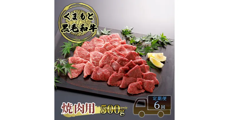 【ふるさと納税】定期便 6ヶ月 焼肉 くまもと 黒毛和牛 500g 焼き肉 焼肉用 牛肉 肉 お肉 牛 ブランド牛 熊本 やきにく ヤキニク BBQ バーベキュー お楽しみ 6回 毎月　定期便・錦町