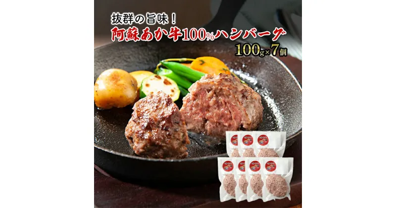 【ふるさと納税】ハンバーグ 阿蘇 あか牛 100% 100g×7個 肉 牛肉 お肉 にく 配送不可:離島　錦町