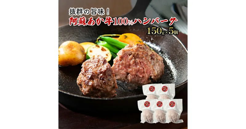 【ふるさと納税】ハンバーグ 阿蘇 あか牛 100% 150g×5個 肉 牛肉 お肉 にく 配送不可:離島　錦町