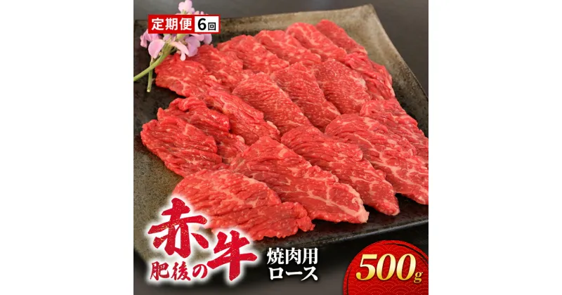 【ふるさと納税】定期便 6ヶ月 あか牛 焼肉 ロース 500g 肥後の赤牛 肉 お肉 牛肉 牛 焼き肉 焼肉用 6回 お楽しみ　定期便・錦町