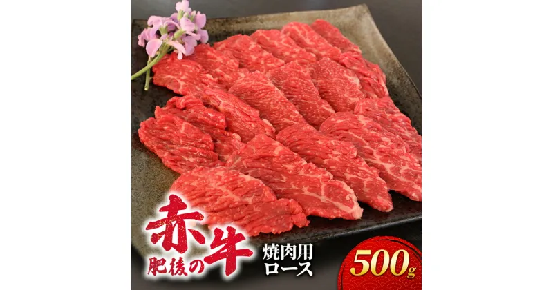 【ふるさと納税】あか牛 焼肉 ロース 500g 肥後の赤牛 肉 お肉 牛肉 牛 焼き肉 焼肉用　錦町