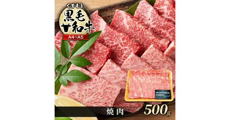 【ふるさと納税】牛肉 A4～A5 くまもと 黒毛和牛 焼肉 500g 焼き肉 肉 お肉 ※配送不可：離島