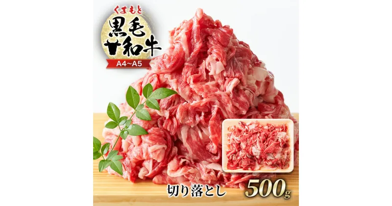 【ふるさと納税】牛肉 A4～A5 くまもと 黒毛和牛 切り落とし 500g 肉 お肉 ※配送不可：離島