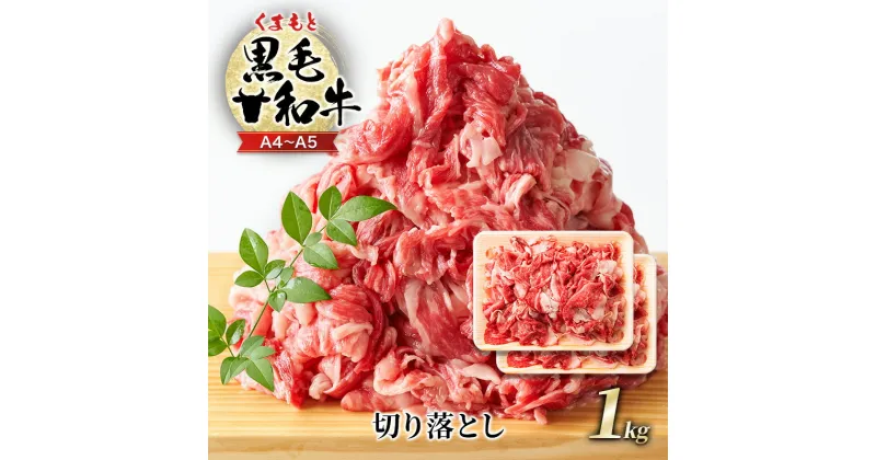 【ふるさと納税】牛肉 A4～A5 くまもと 黒毛和牛 切り落とし 1kg (500g×2p) 肉 お肉 ※配送不可：離島