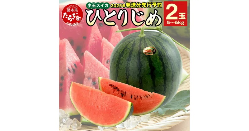 【ふるさと納税】《先行予約》 熊本県産 小玉 スイカ ひとりじめ 2玉 合計5～6kg すいか 果物 フルーツ 甘い 熊本県 多良木町 ひとりじめ かわいい 送料無料 【2025年5月上旬より順次発送】